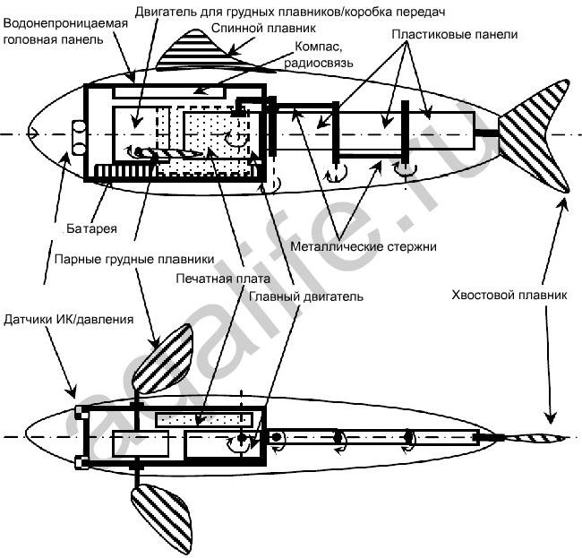 Схематическая структура MT1 рыбы-робота. Схематическая структура MT1 рыбы-робота.