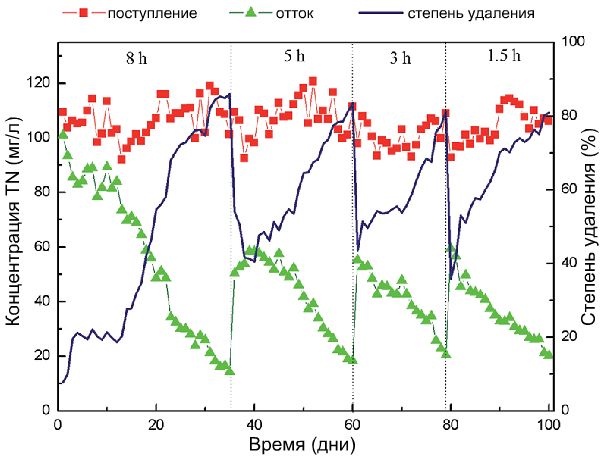 Кривые эффективности удаления общего азота (TN) бактериями anammox, фиксированными на полиуретановом геле. Время исследования 100 дней (Guanghui Chen et al., 2015)