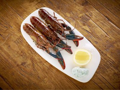 Красноклешневый рак (Cherax quadricarinatus) готов к употреблению