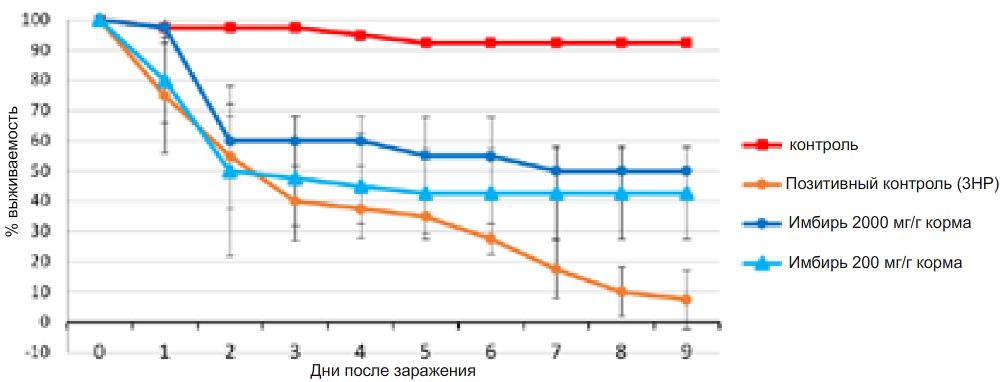 Рисунок 3. Кумулятивная выживаемость постличинок Penaeus vannamei, питающихся рационом с имбирем после заражения 3HP штаммом Vibrio AHPND