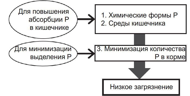 Рисунок 5. Три критические точки приложения для минимизации выделения фосфора рыбами. У рыб транспортеры Pi функционально не ограничивают абсорбцию элемента в кишечнике. Поэтому, для минимизации выделения фосфора важнее химические, а не физиологические методы