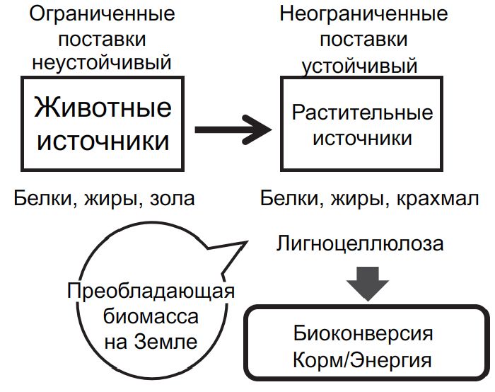 Рисунок 8. Глобальный переход к устойчивому производству. Многие растительные ингредиенты содержат неперевариваемую лигноцеллюлозу, которая загрязняет воду органикой и делает ее мутной. Для использования волокнистого растительного материала в рыбных кормах необходимо предварительное переваривание лигноцеллюлозы in vitro